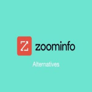 zoom info alternatives