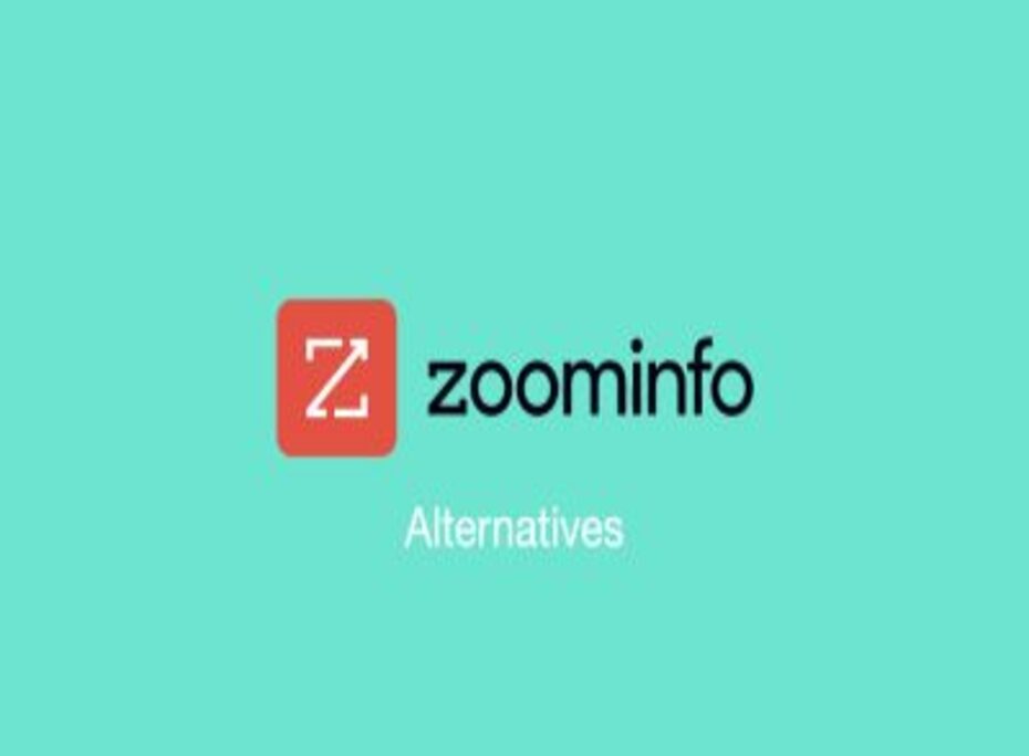 zoom info alternatives