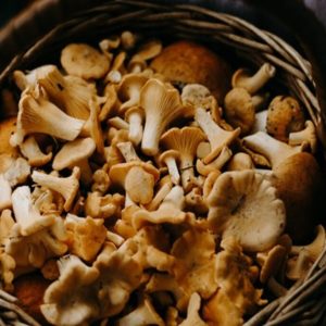 Mushrooms